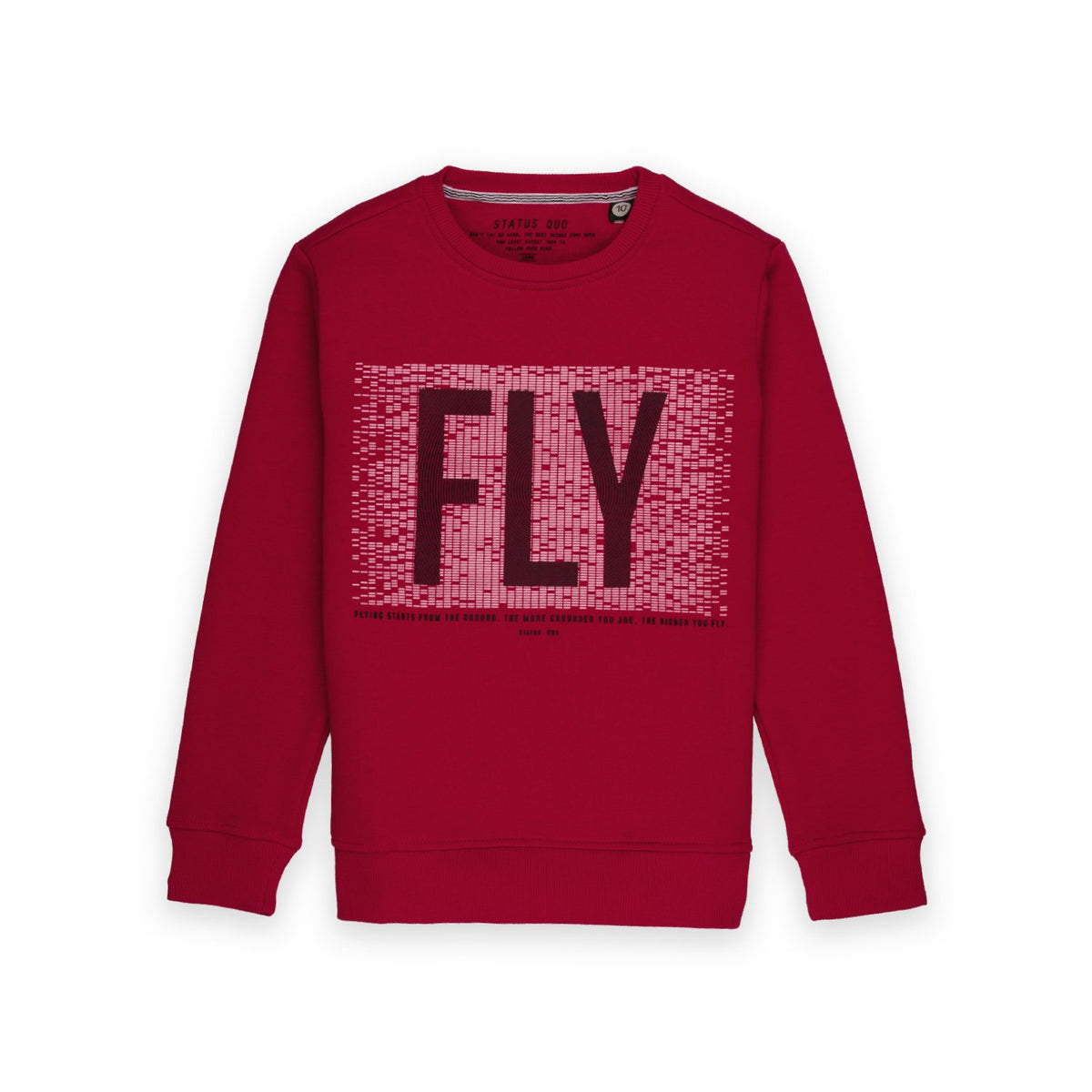 printed sweatshirt for boys