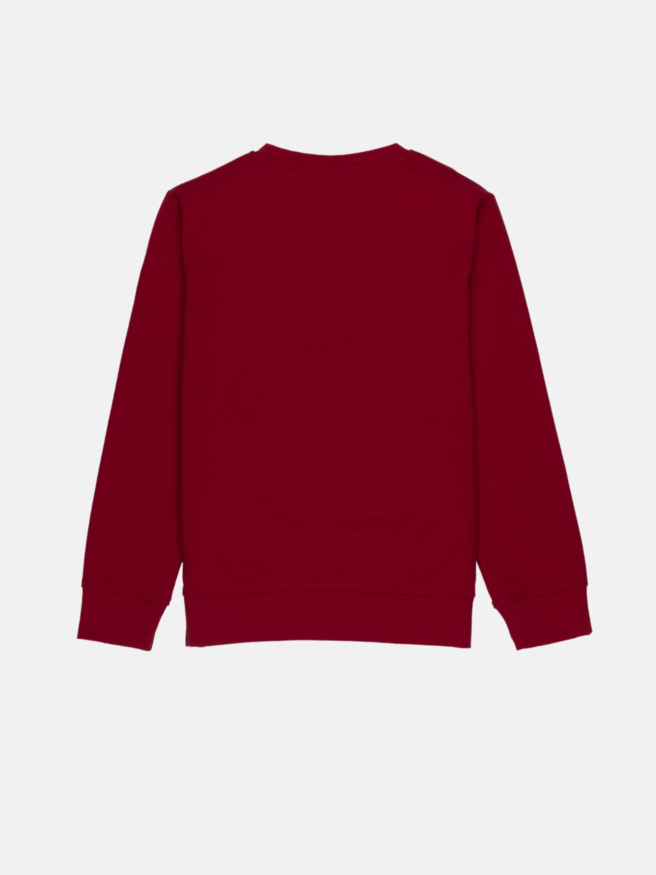 Boys Solid Round Neck Sweatshirt Secondary image