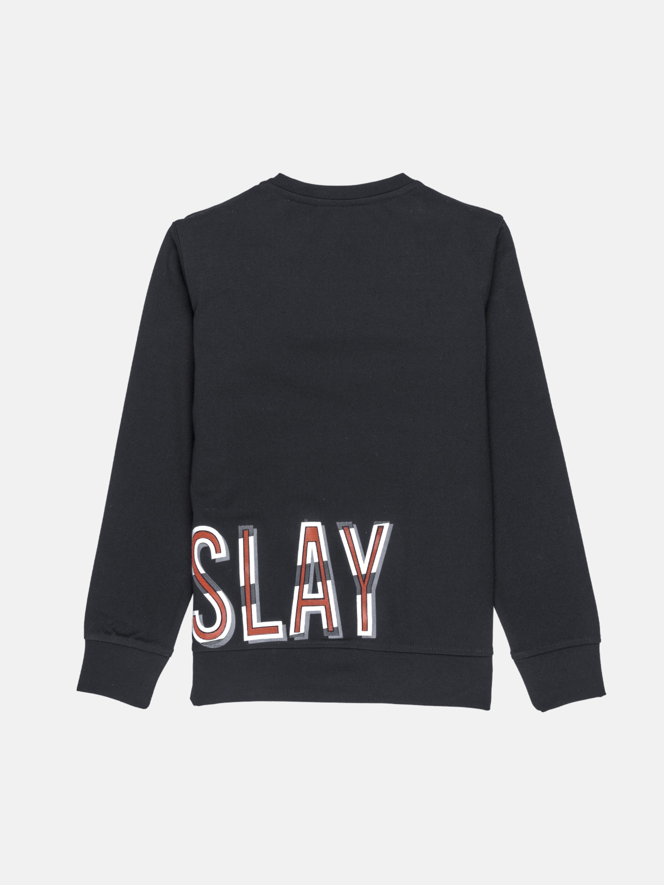 Boys Solid Round Neck Sweatshirt Secondary image