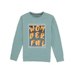 lightweight sweatshirt for boys