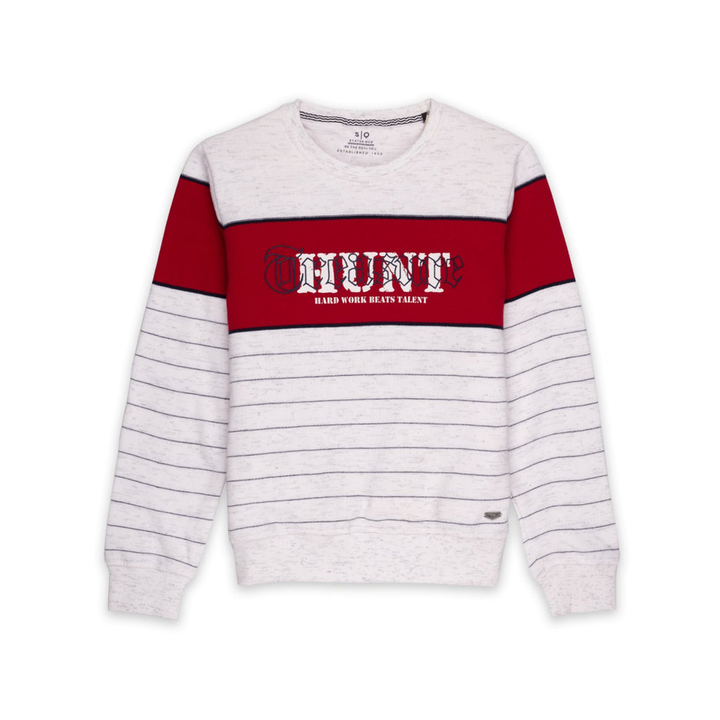 hooded sweatshirt for boys
