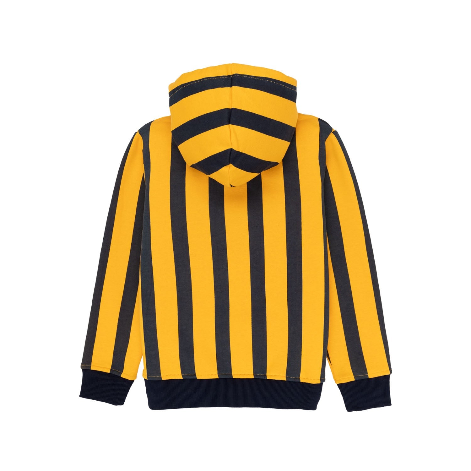 Boys Striped Hooded Sweatshirt Secondary image