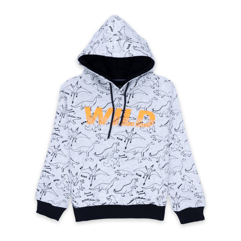 printed sweatshirt for boys