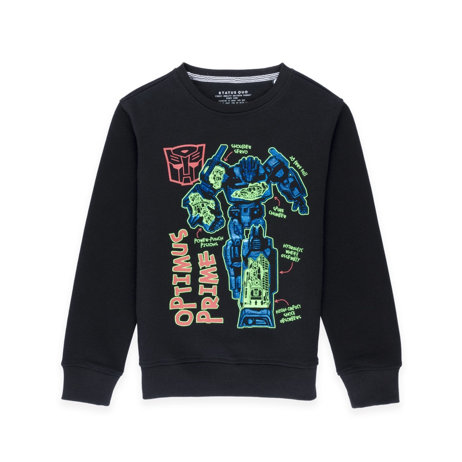 printed sweatshirt for boys