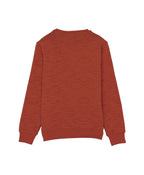 Boys Printed Round Neck Sweatshirt