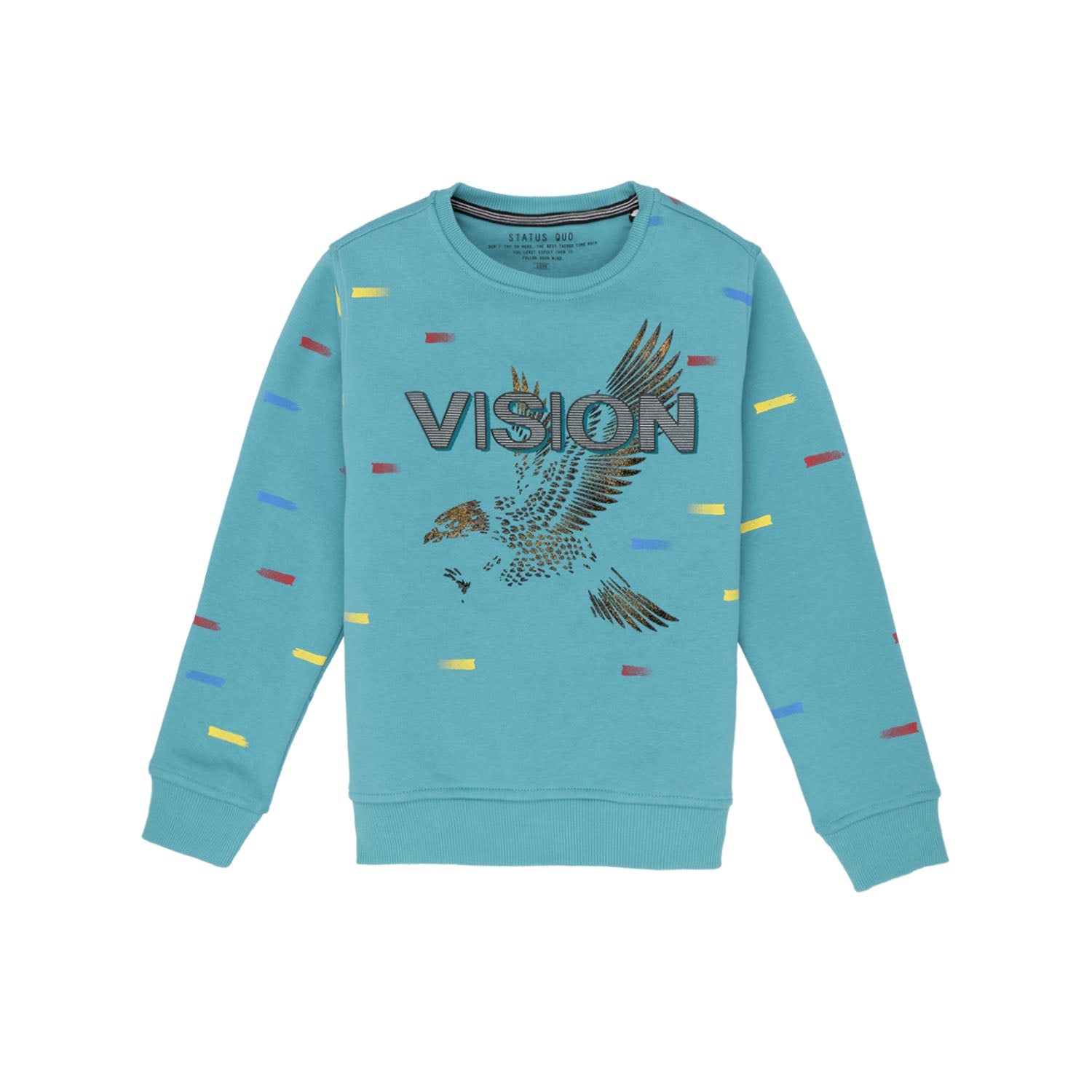 printed sweatshirt for boys