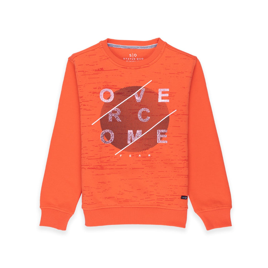 printed sweatshirt for boys