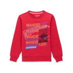 printed sweatshirt for boys