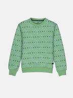 printed sweatshirt for boys