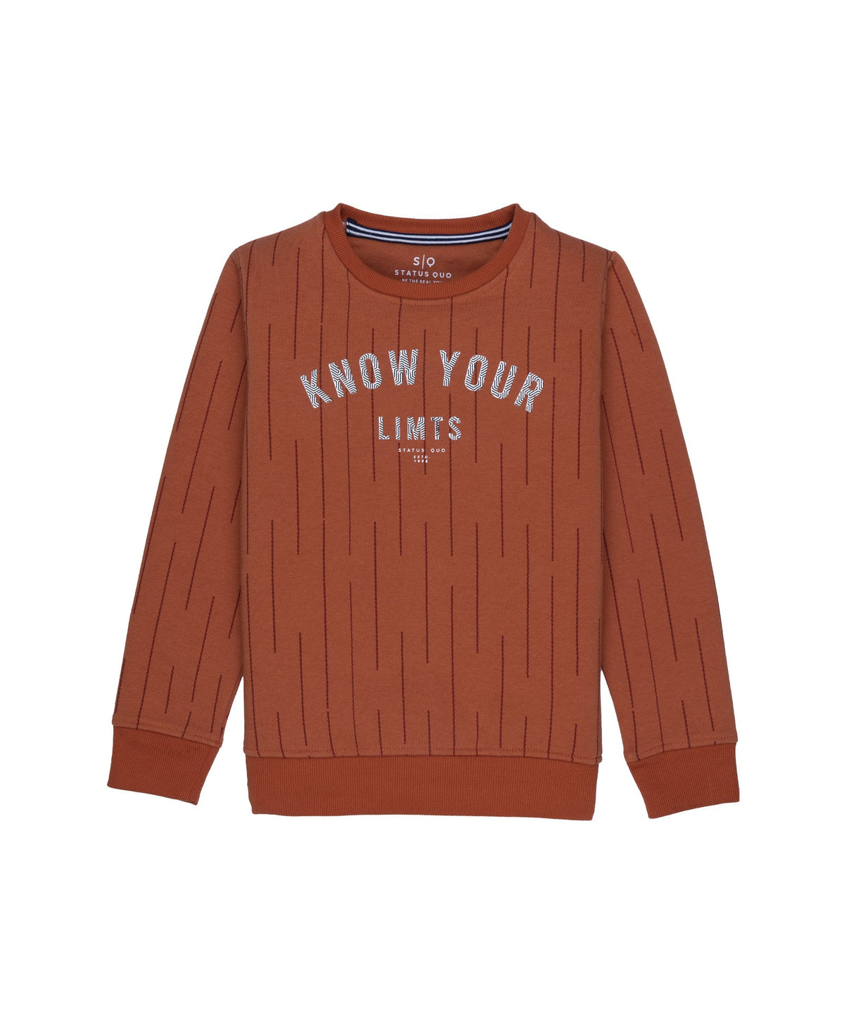 printed sweatshirt for boys Main image