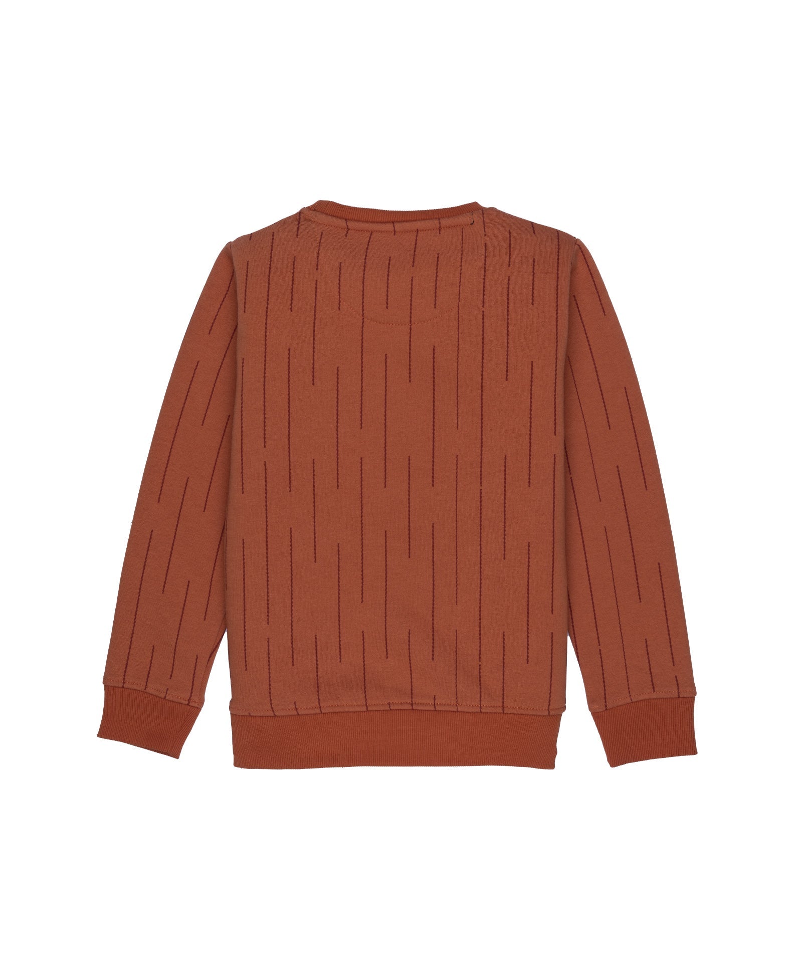 Boys All Over Printed Round Neck Sweatshirt Secondary image