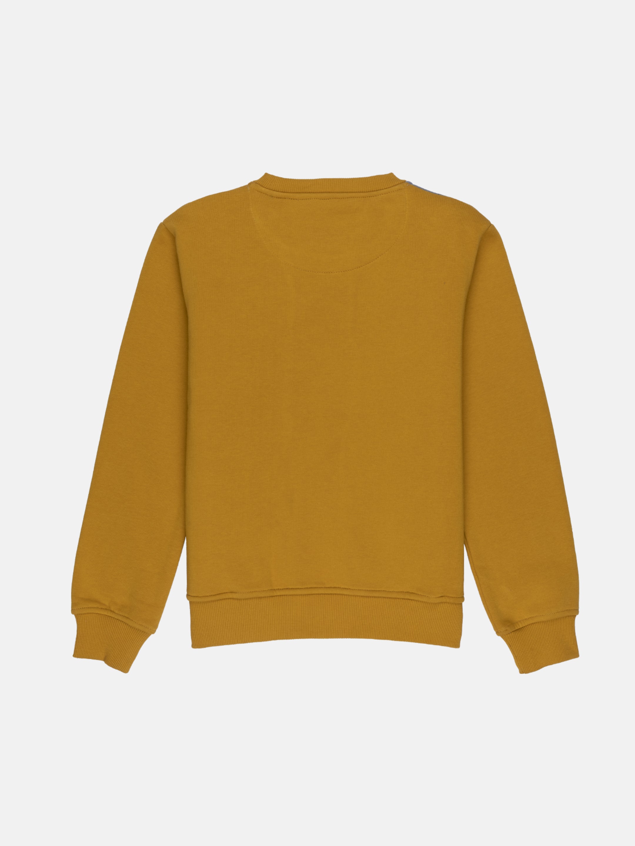 Boys Mix & Match Round Neck Sweatshirt Secondary image