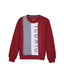 round neck sweatshirt for boys