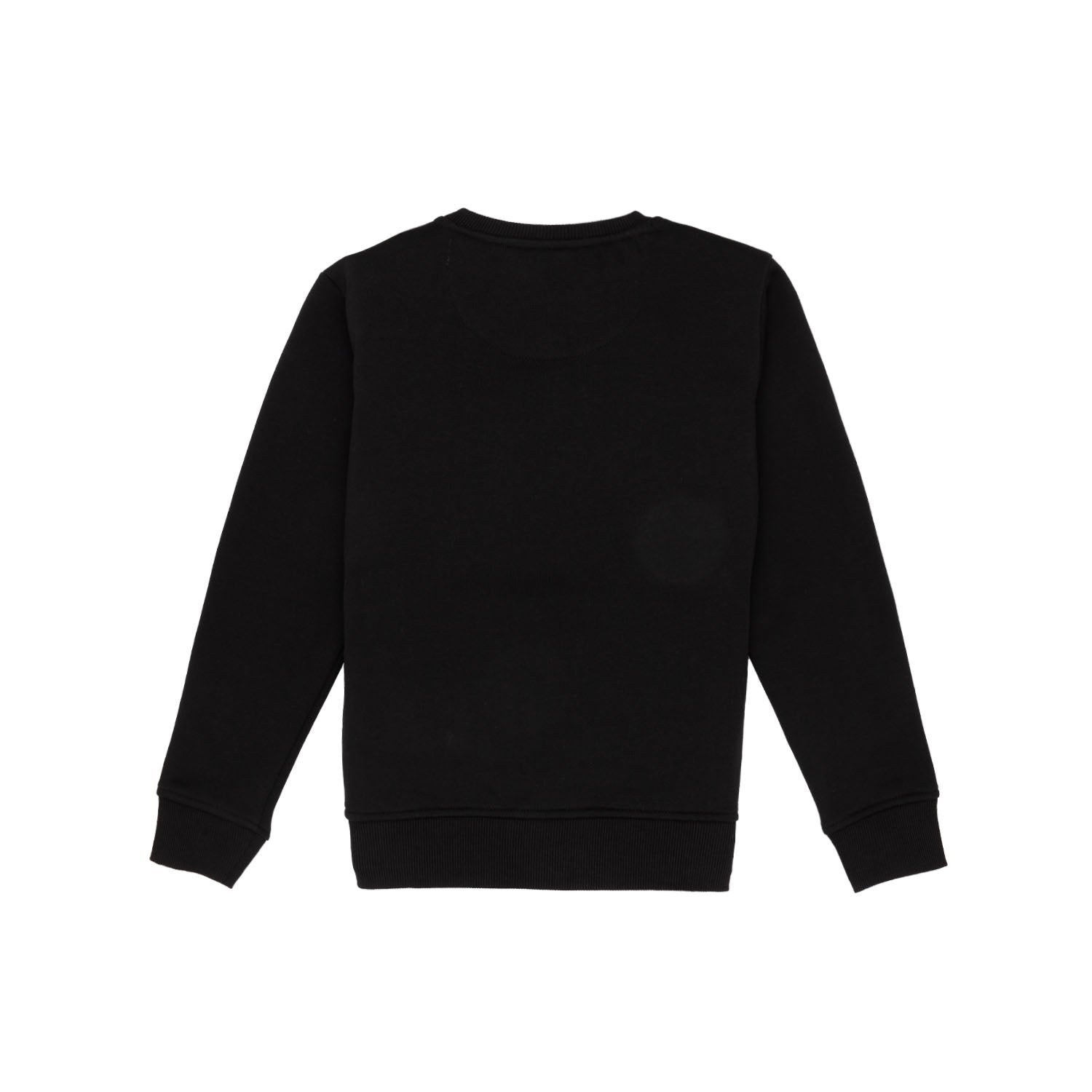 Boys Printed Round Neck Sweatshirt Secondary image