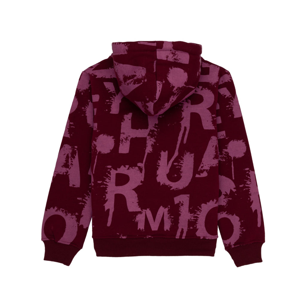 Boys Printed Sweatshirt With Hoodie