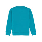 Boys Printed Round Neck Sweatshirt