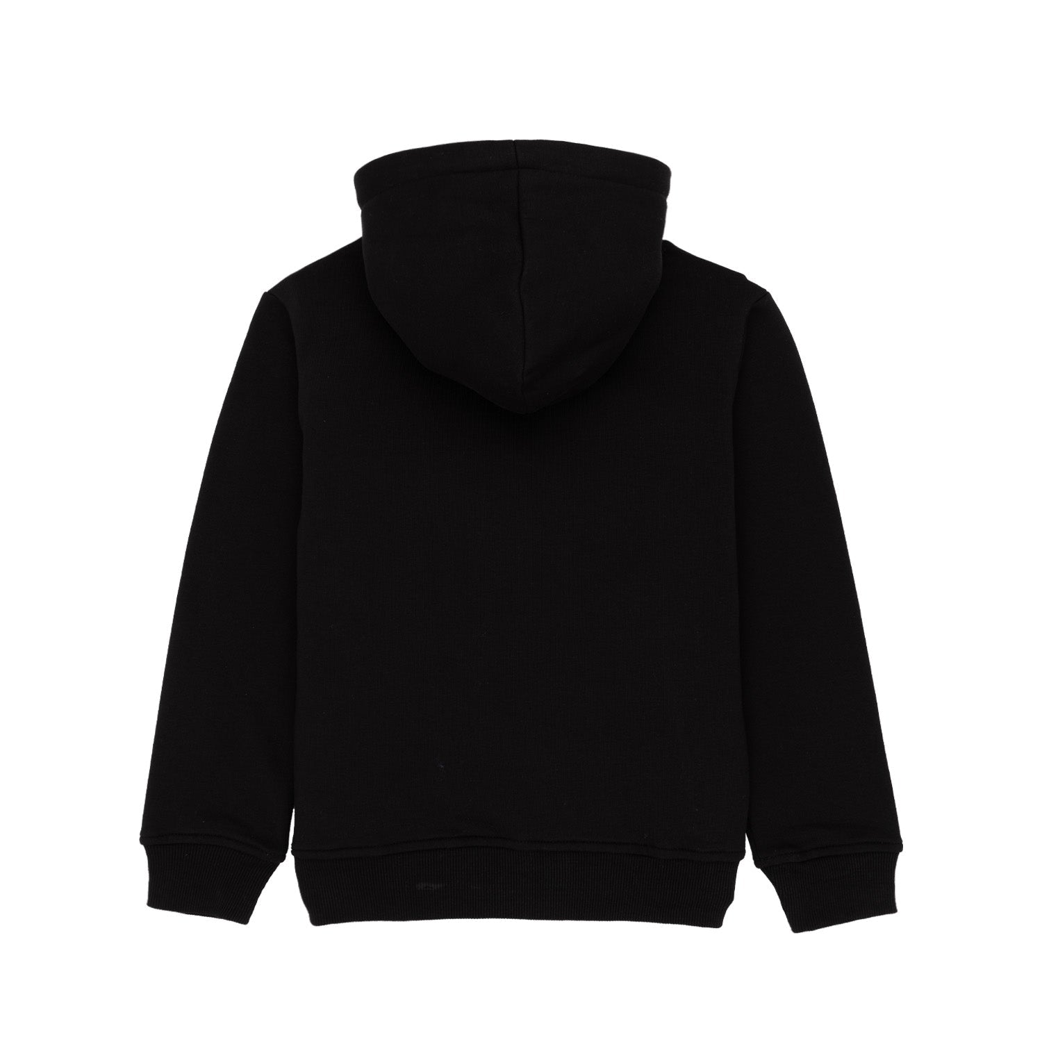 Boys Printed Sweatshirt With Hoodie Secondary image