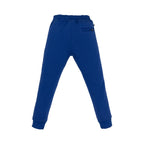 Boys Cut & Sew Regular Fit Joggers