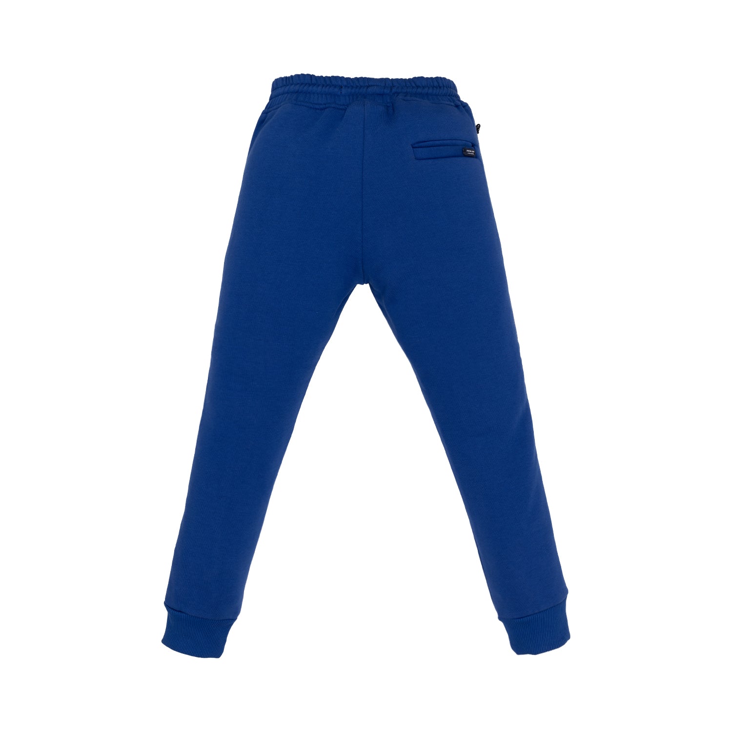 Boys Cut & Sew Regular Fit Joggers