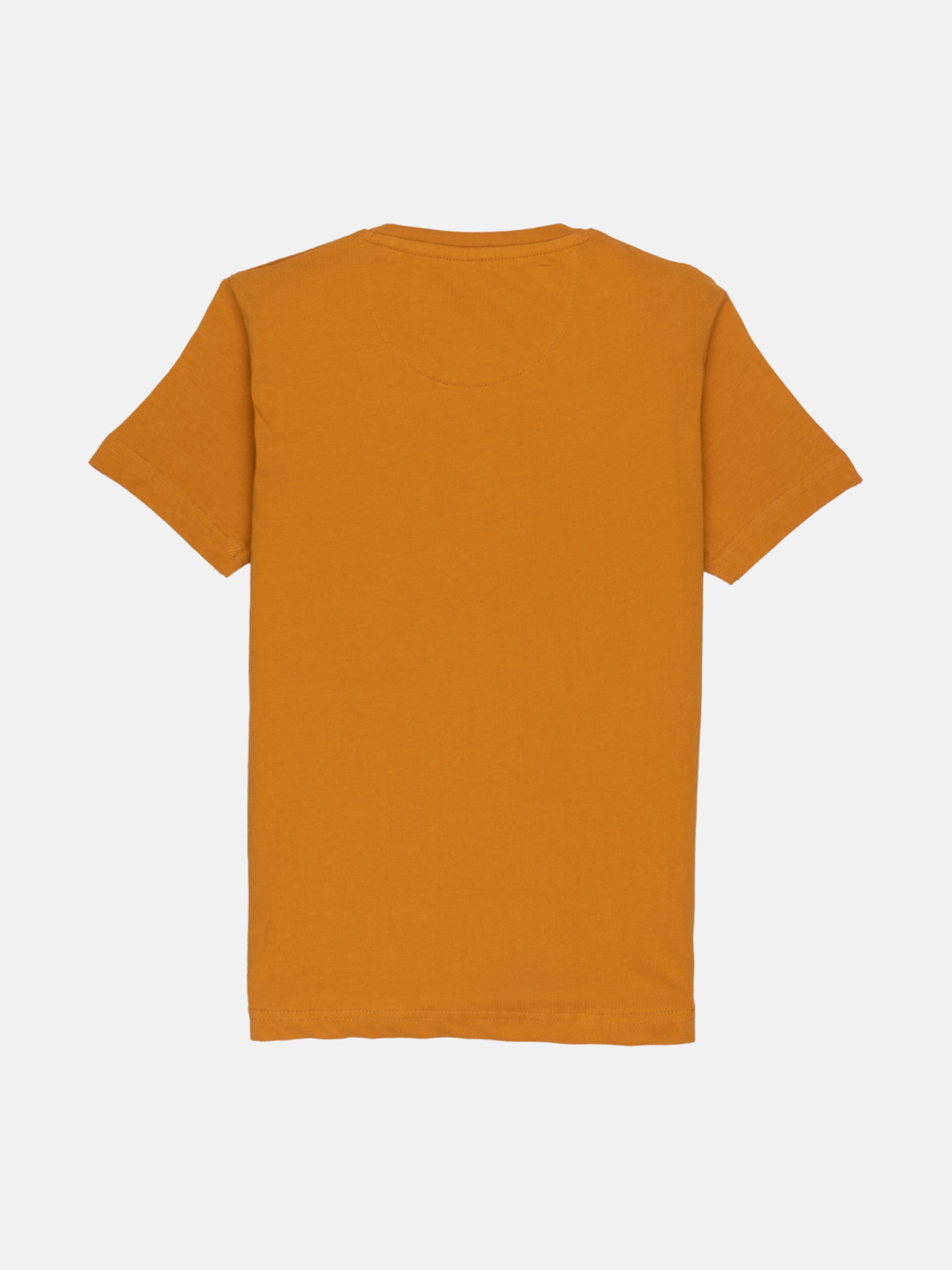 Boys Printed Round Neck T-shirt Secondary image