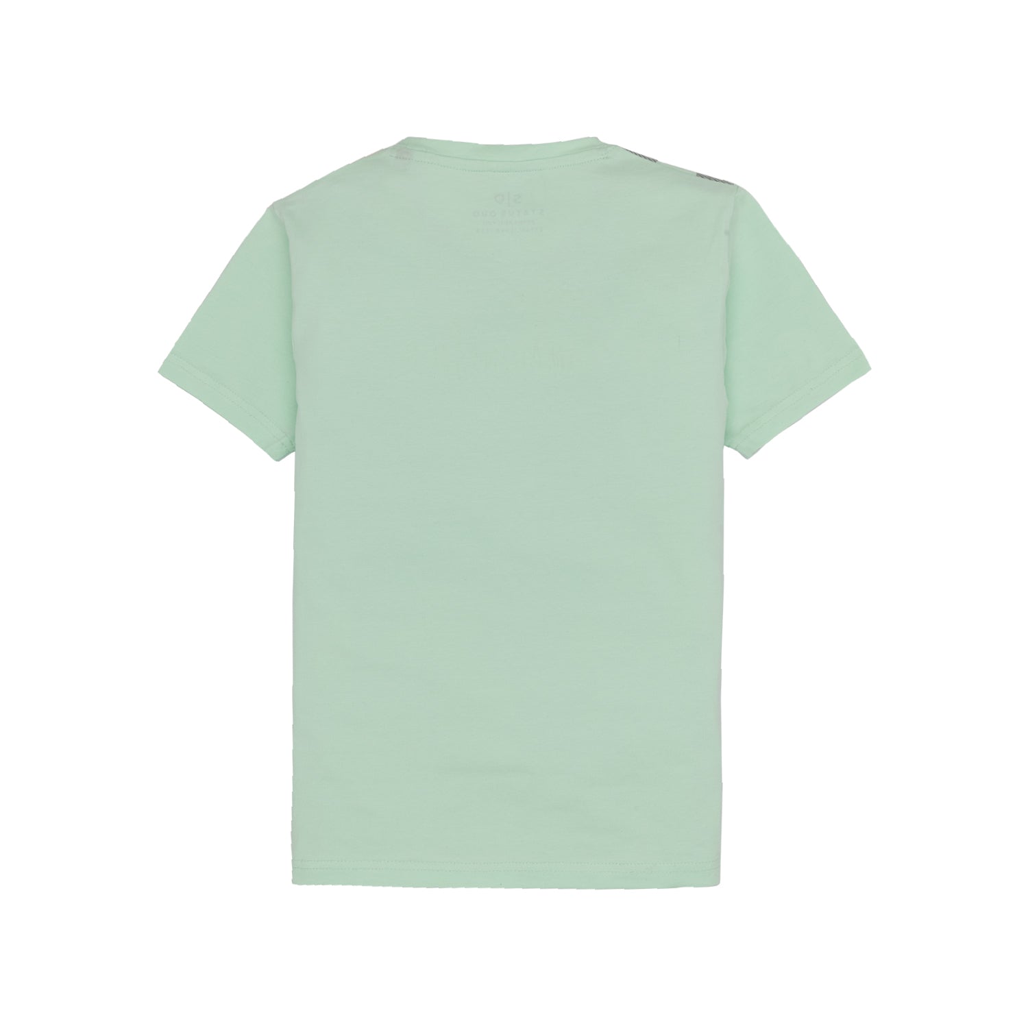 Boys Printed Round Neck T-Shirt