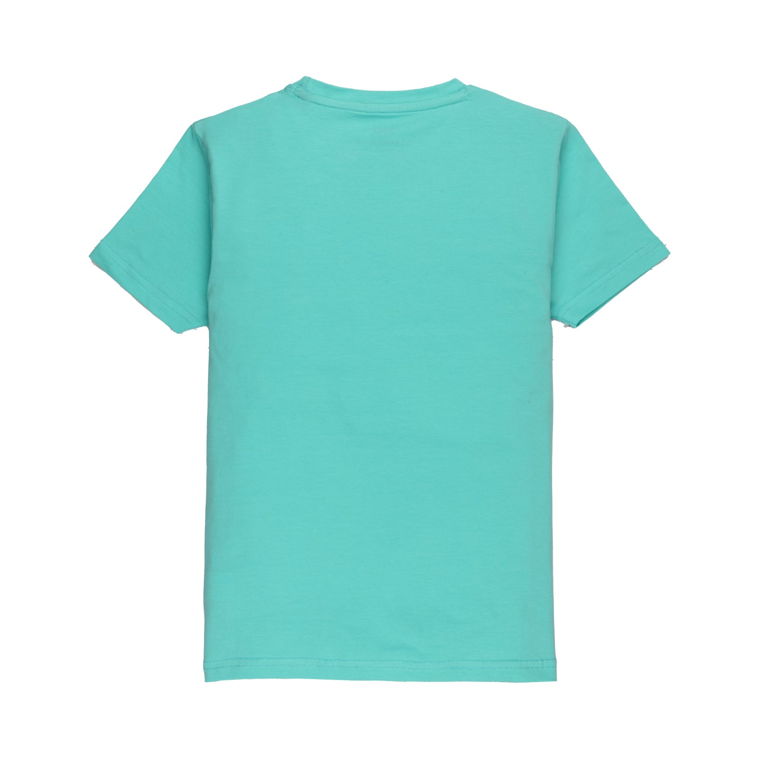 Boys Printed Round Neck T-shirt