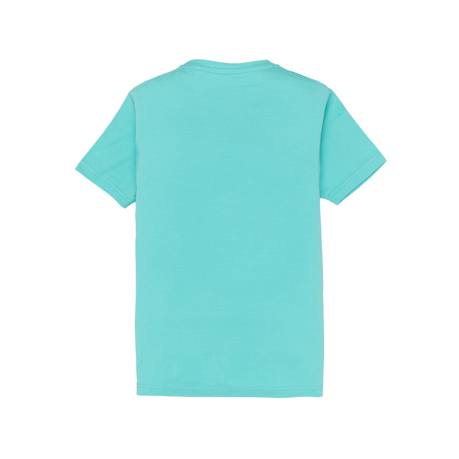 Boys Printed Round Neck T-Shirt