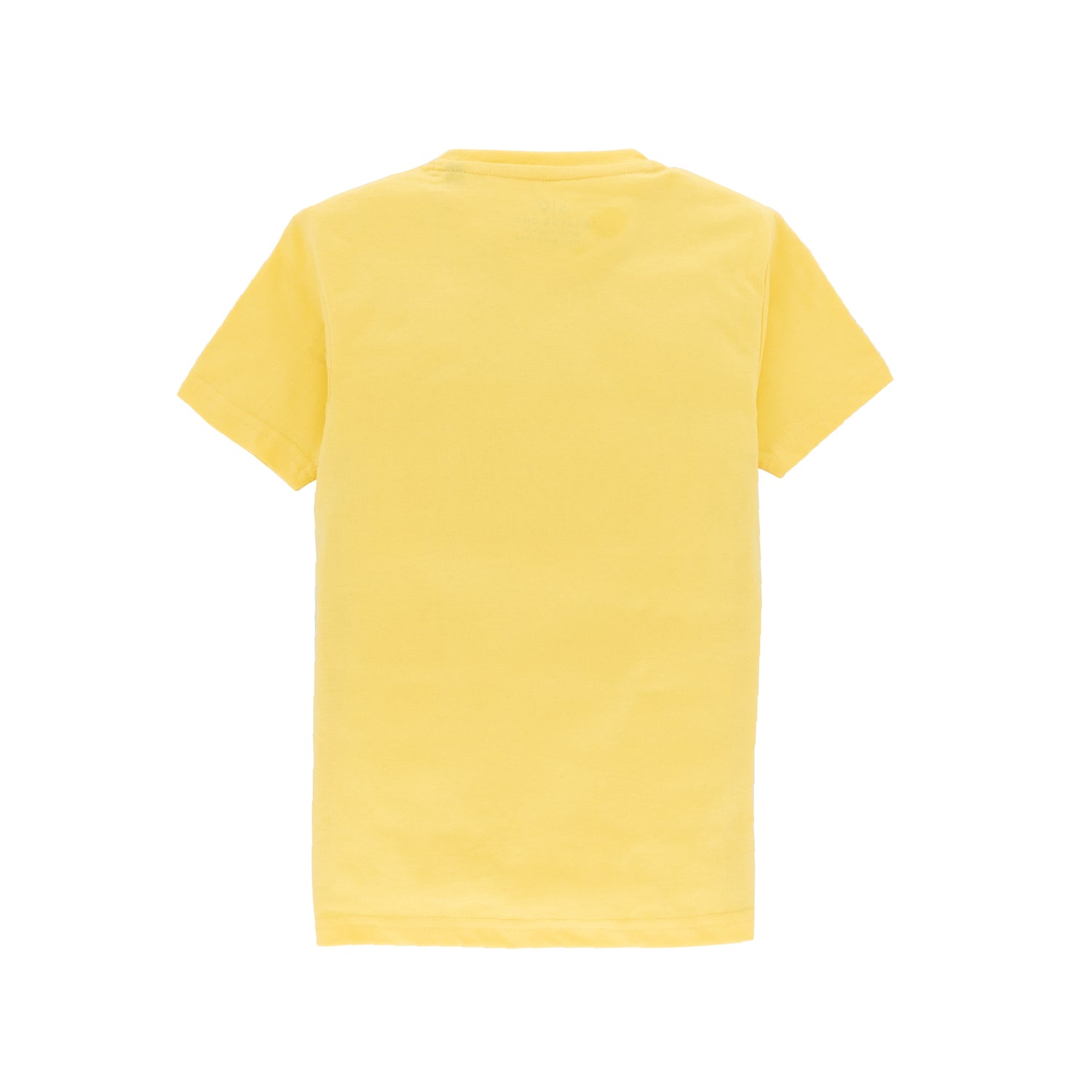 Boys Printed Round Neck T-Shirt