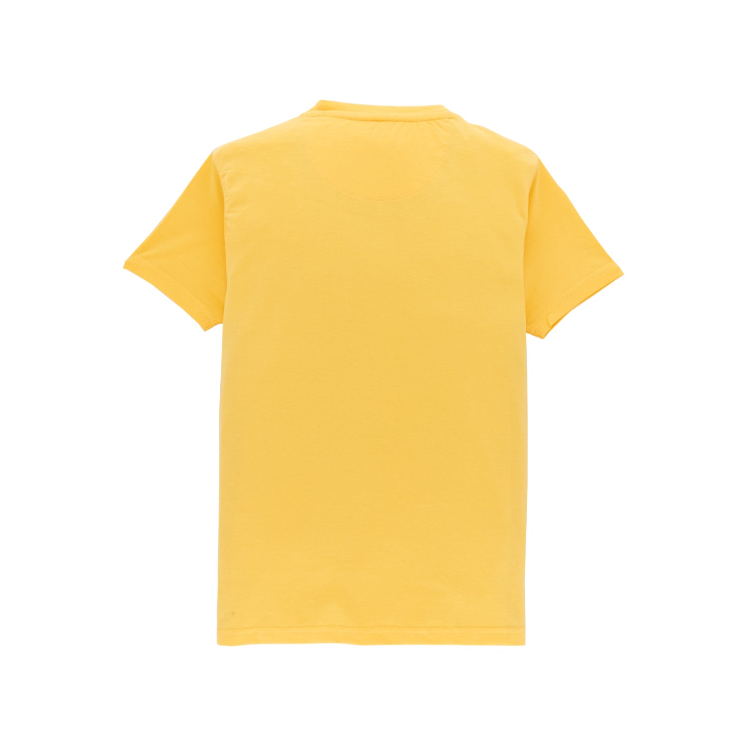Boys Printed Round Neck T-Shirt