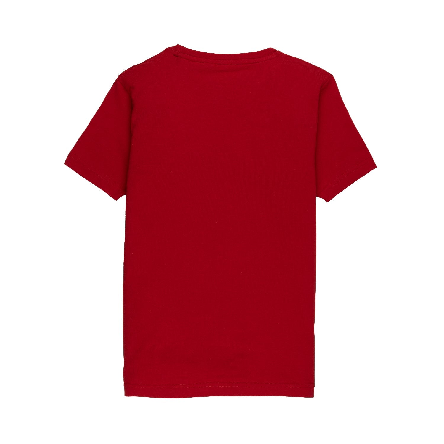 Boys Printed Round Neck T-shirt