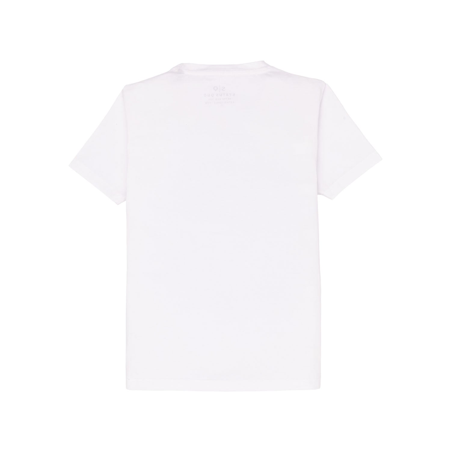 Boys Printed Round Neck T-Shirt