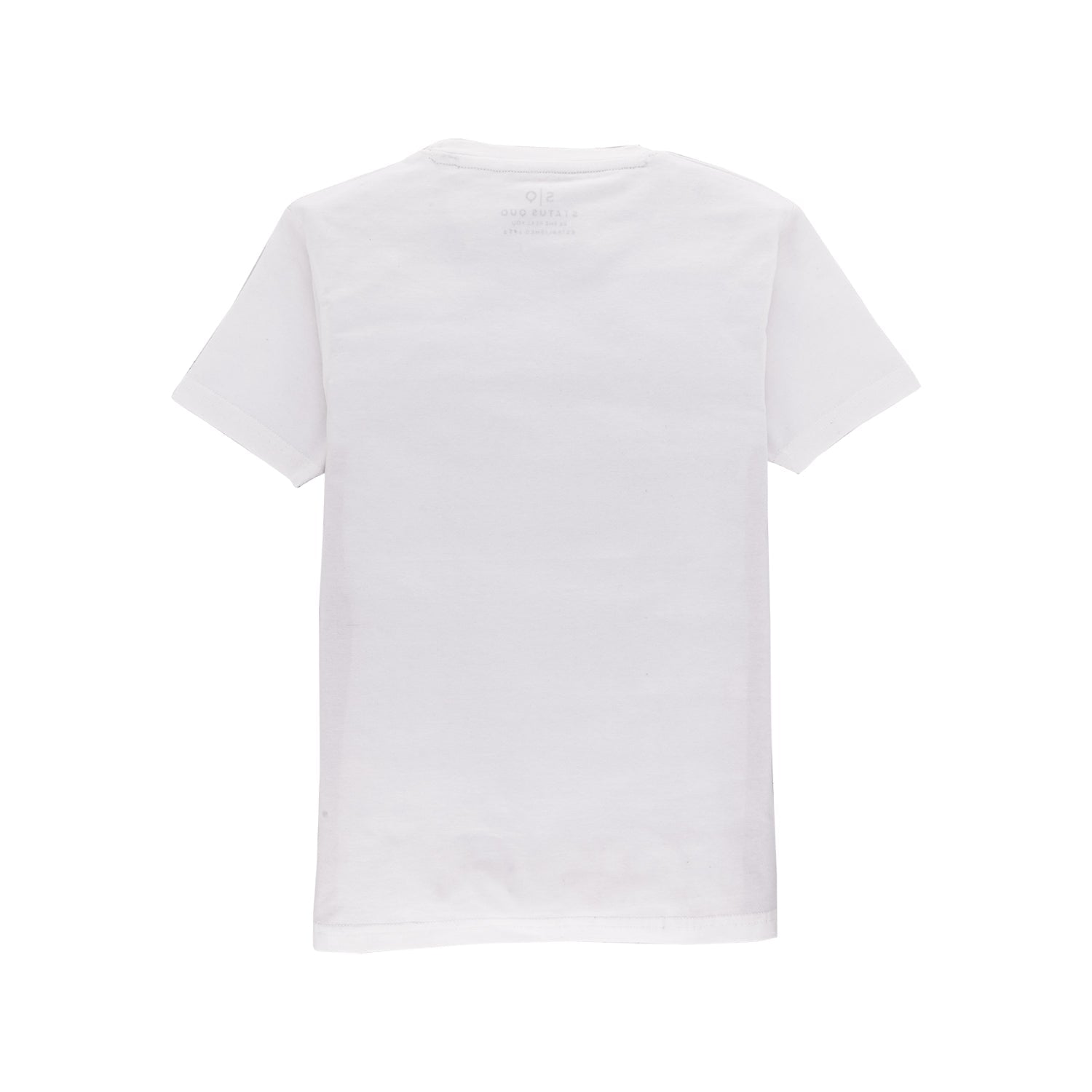 Boys Printed Round Neck T-Shirt