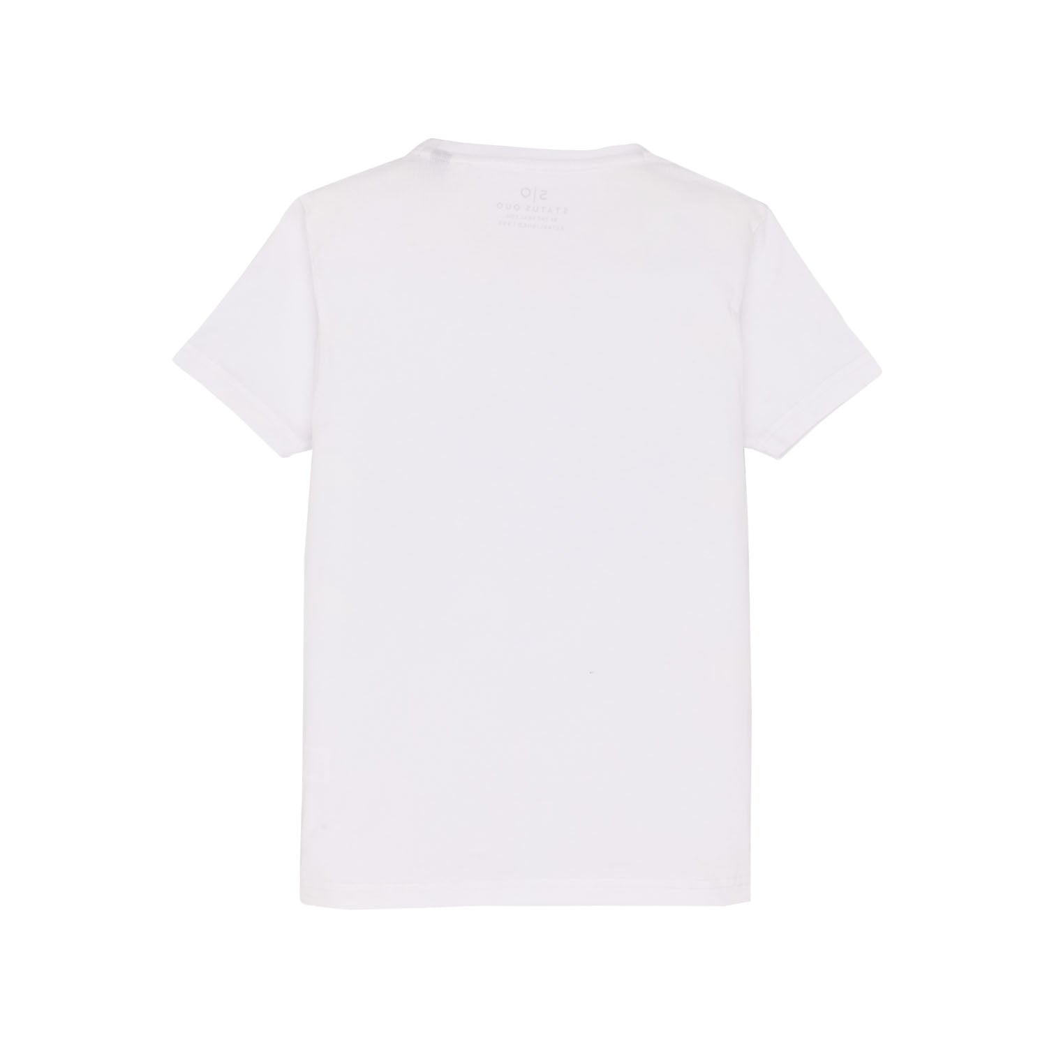 Boys Printed Round Neck T-Shirt