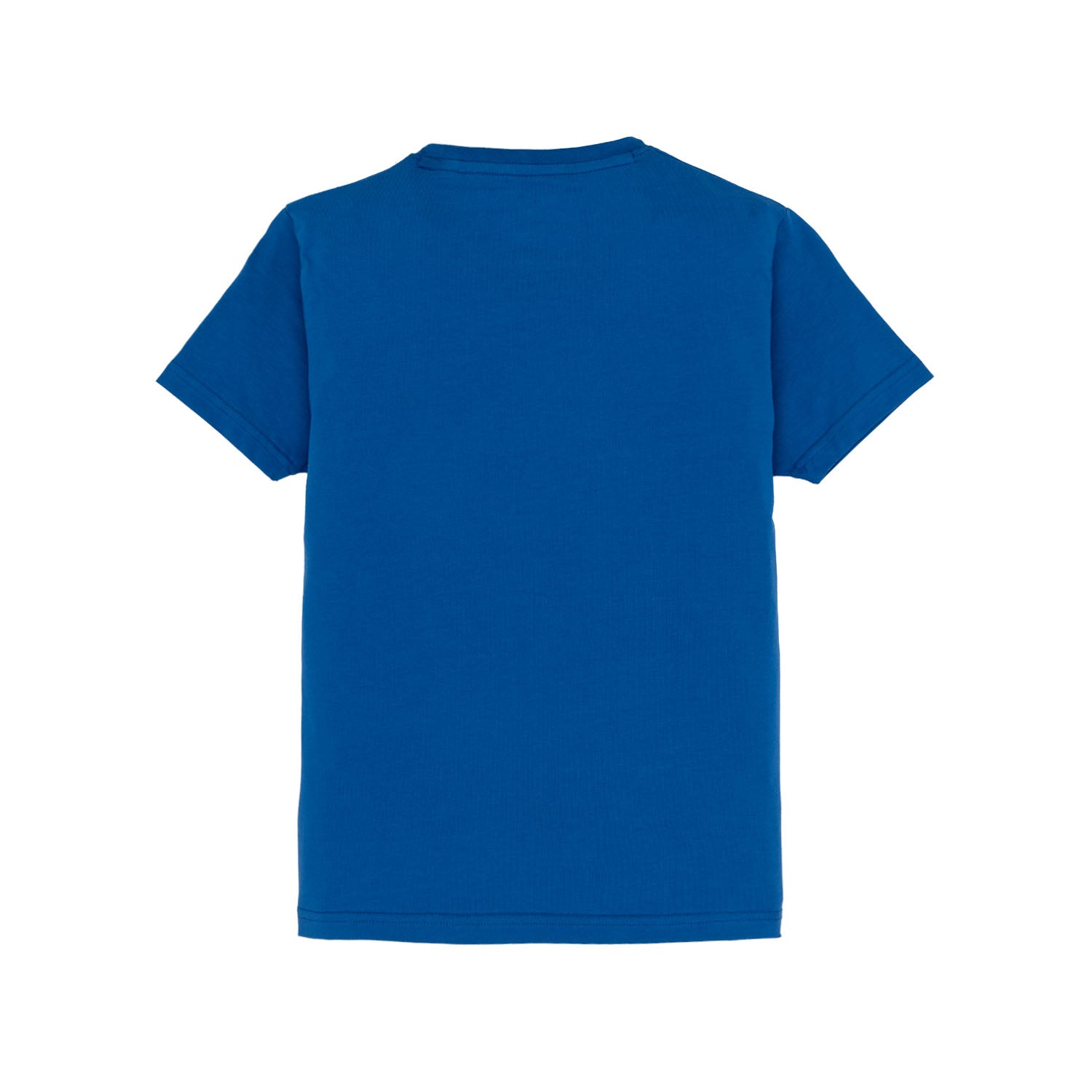 Boys Printed Round Neck T-Shirt
