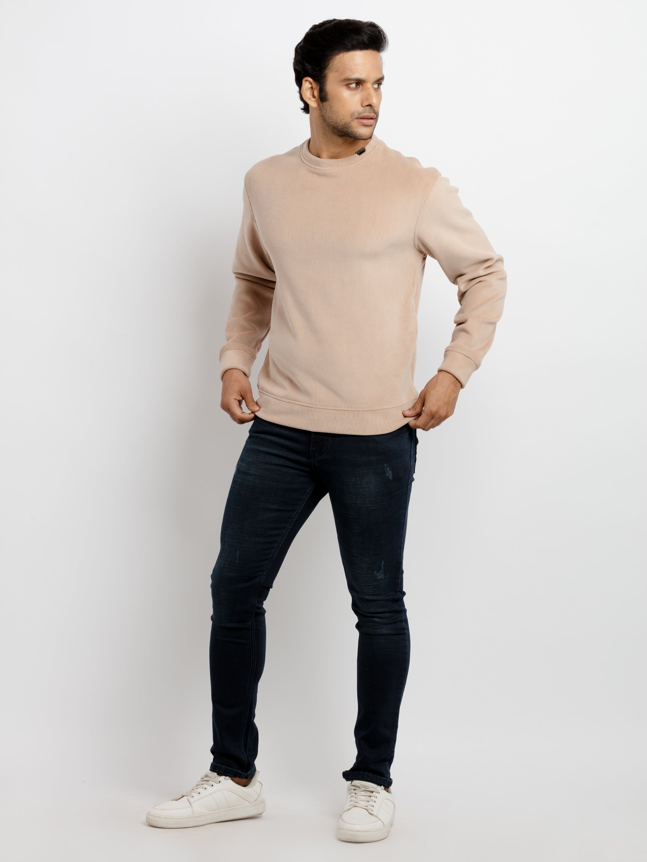 solid sweatshirts