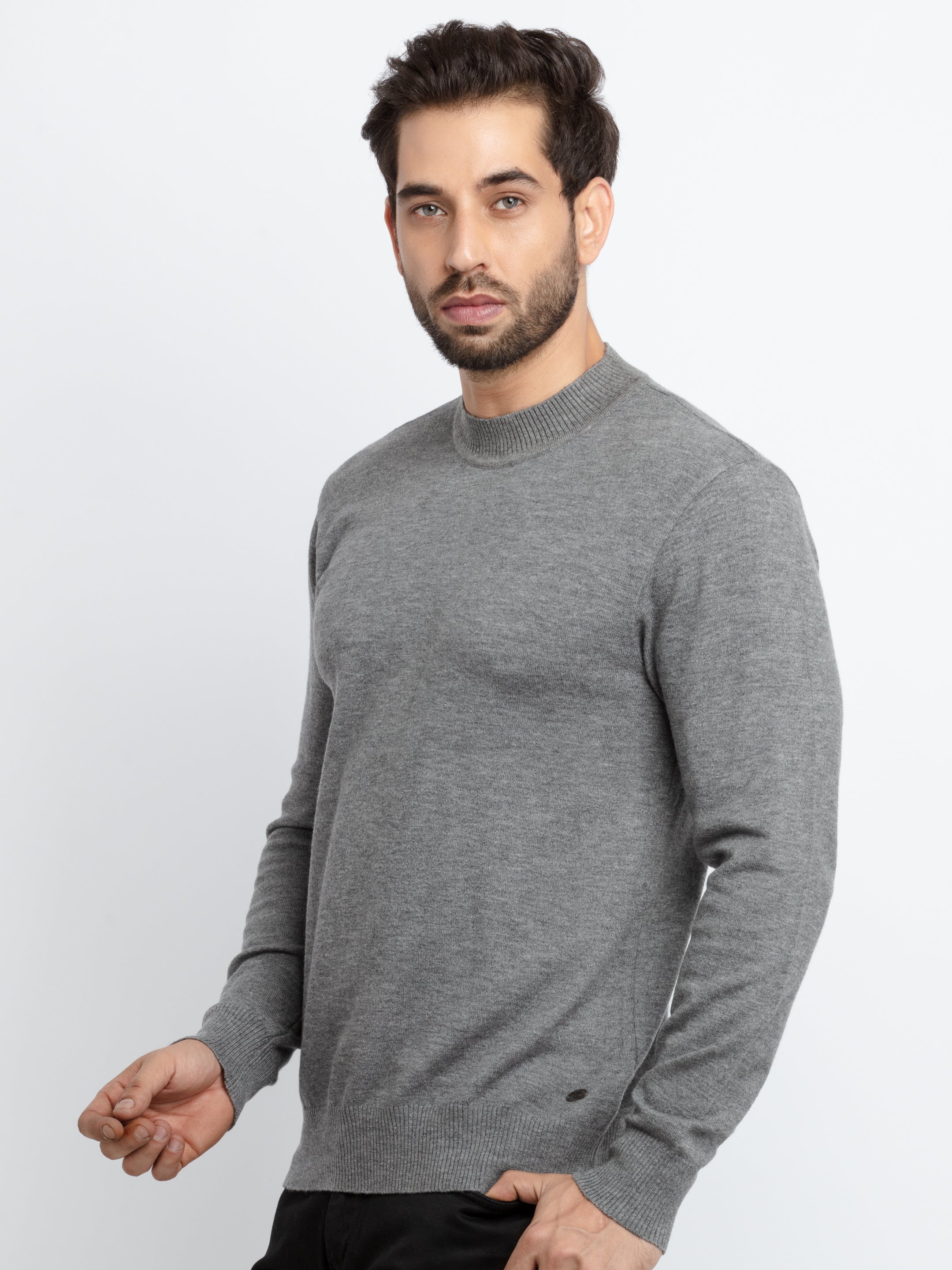 Mens Solid Turtle Neck Sweater Secondary image