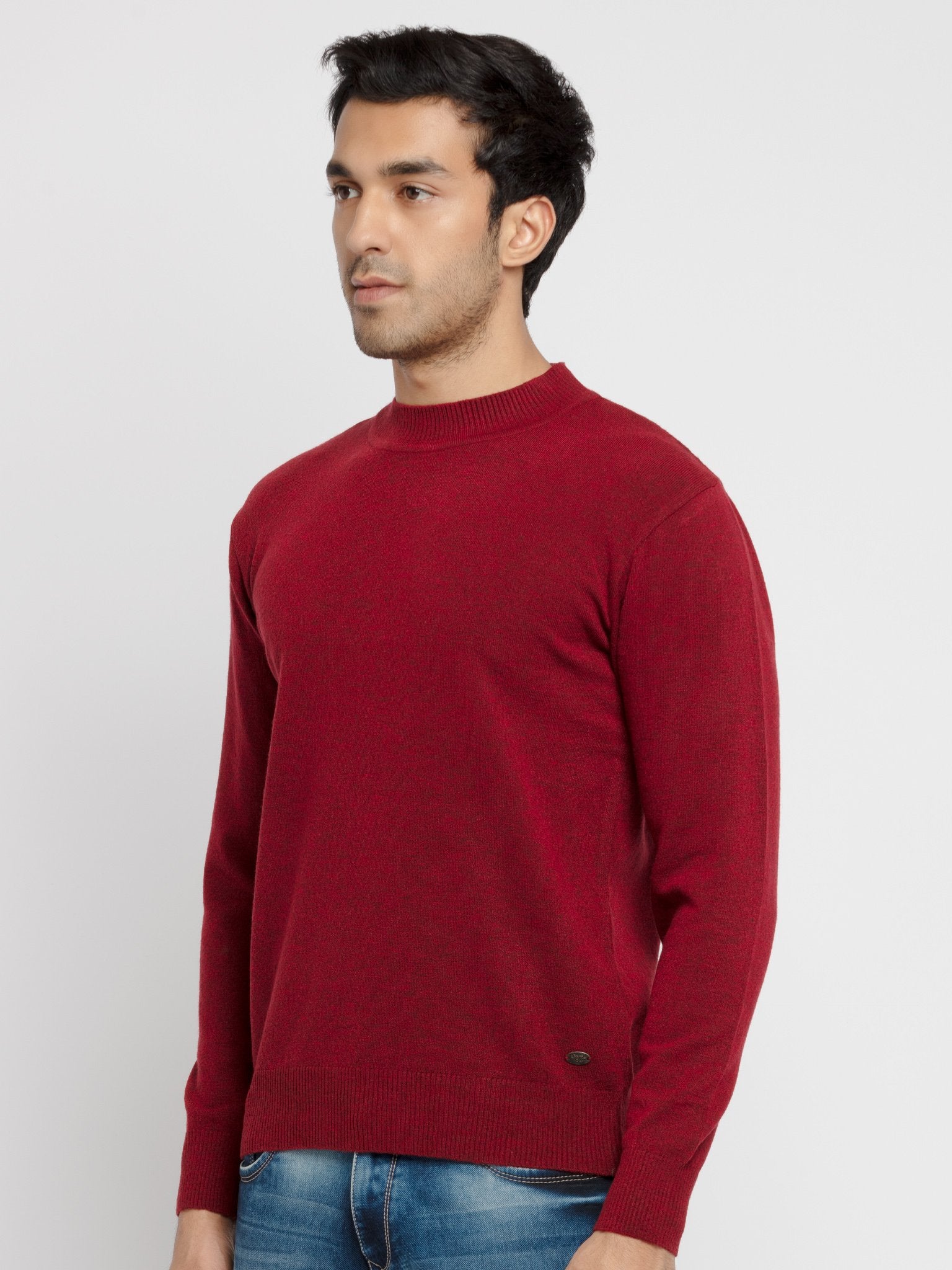 Mens Solid Turtle Neck Sweater Secondary image