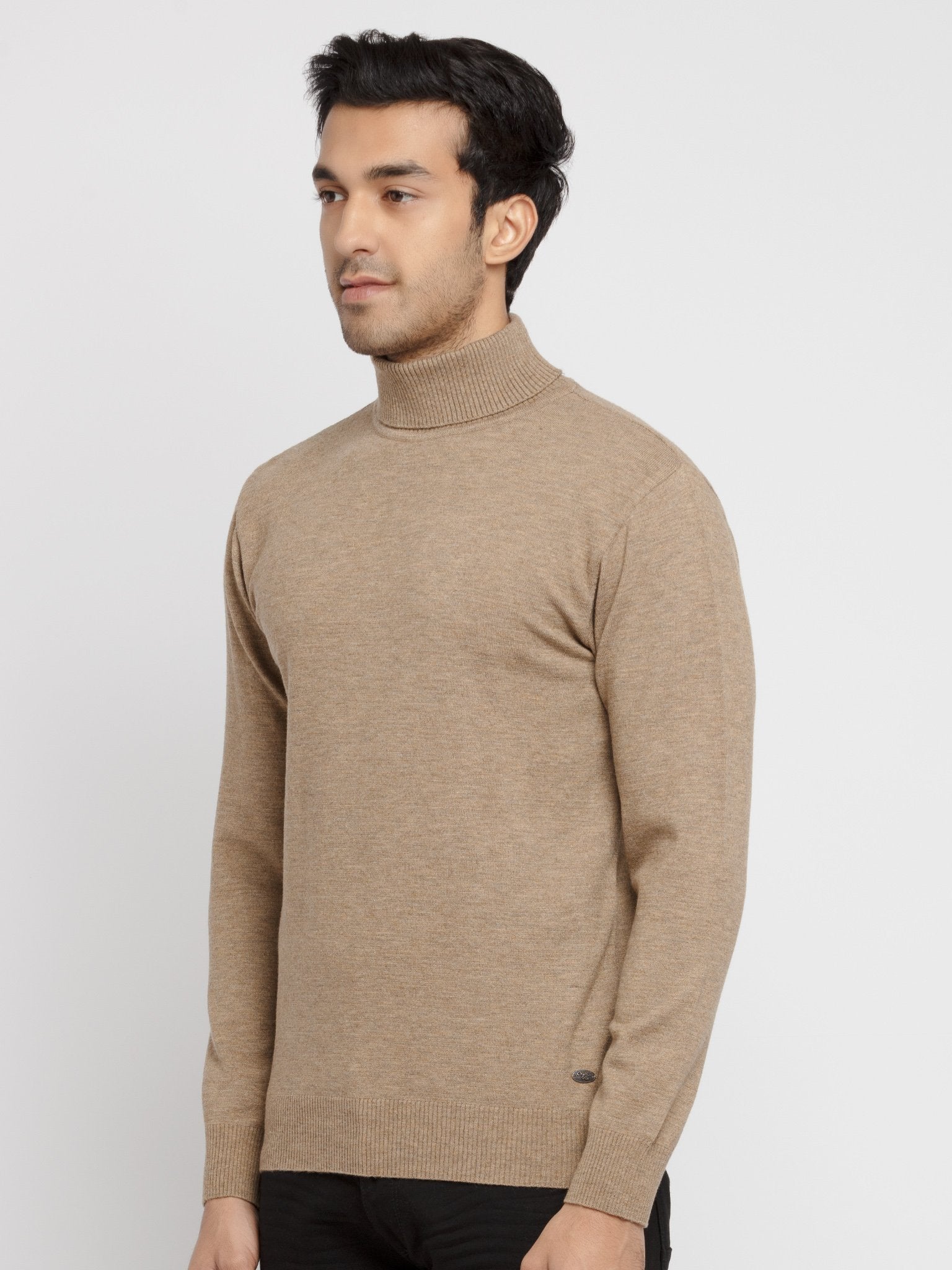 Mens Solid High Neck Sweater Secondary image