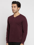 plus size sweaters in India