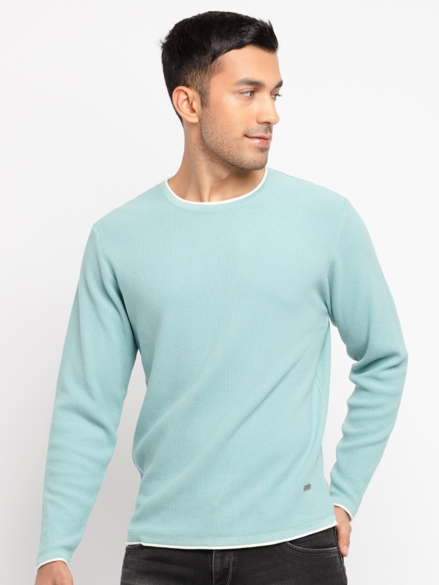 Mens Solid Round Neck Sweater Secondary image