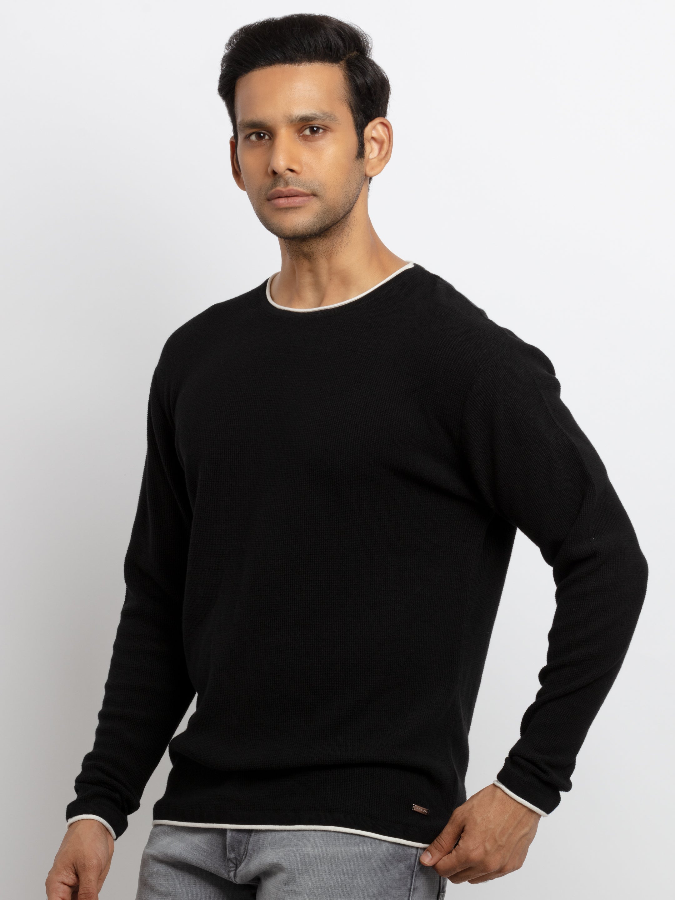 Mens Solid Round Neck Sweater Secondary image