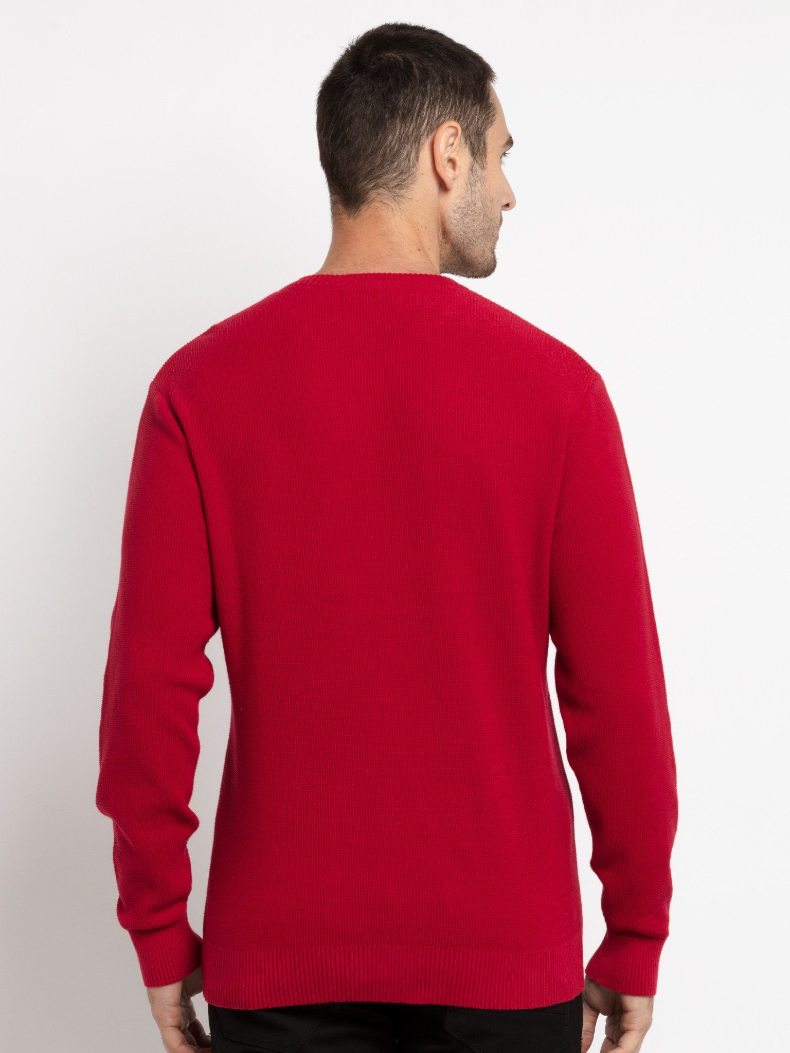 Mens Solid V-Neck Sweater