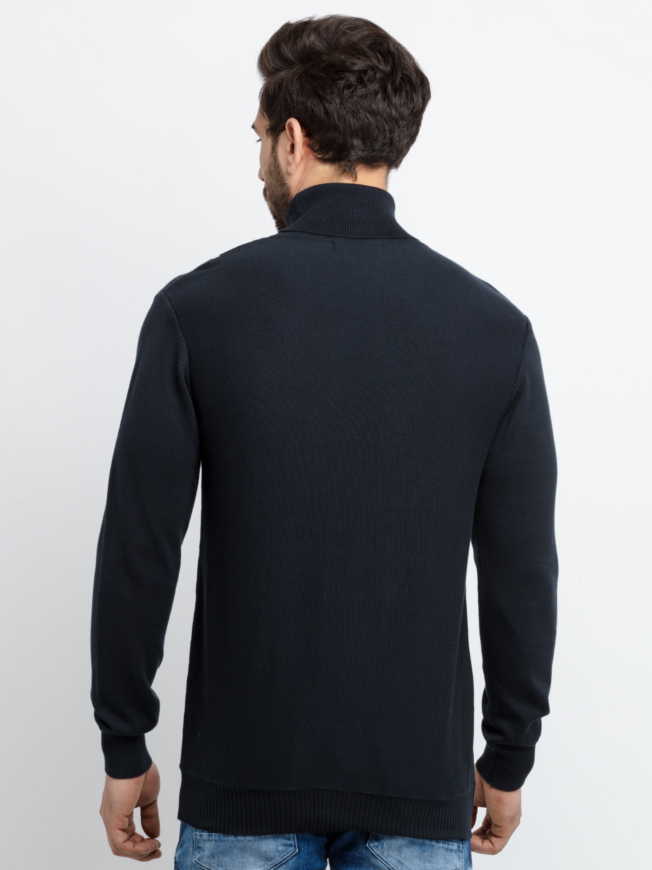 Mens Striped Turtle Neck Sweater