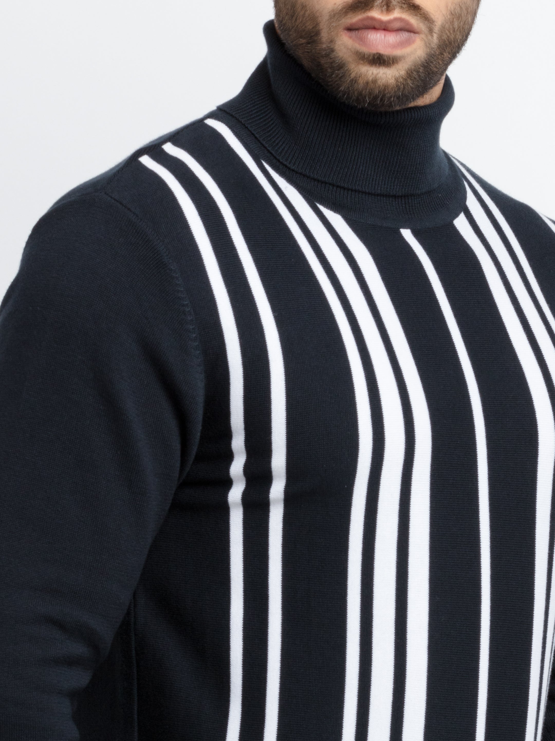 Mens Striped Turtle Neck Sweater