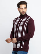 Mens Striped Turtle Neck Sweater
