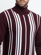 Mens Striped Turtle Neck Sweater