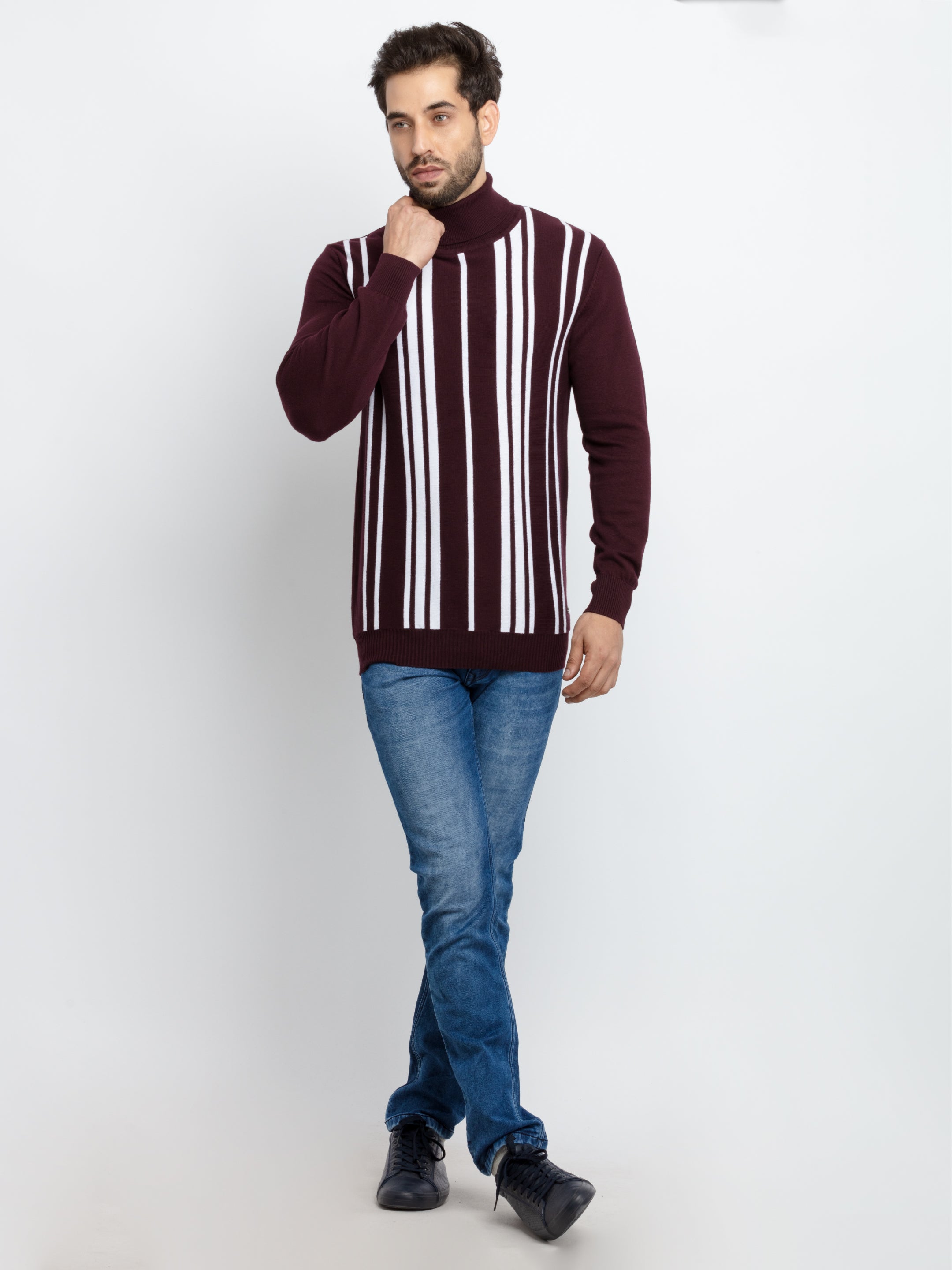 Mens Striped Turtle Neck Sweater