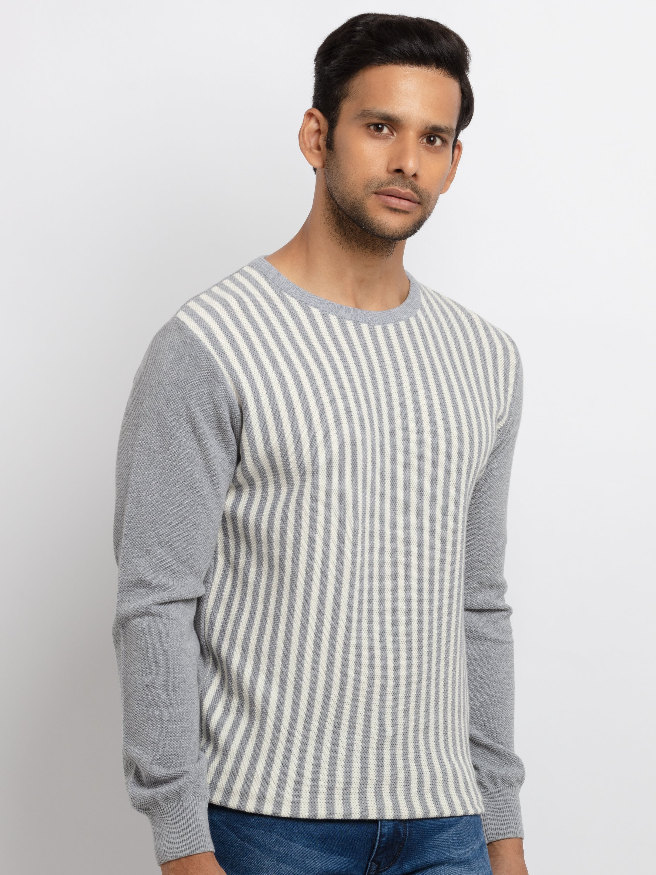 Mens Striped Round Neck Sweater
