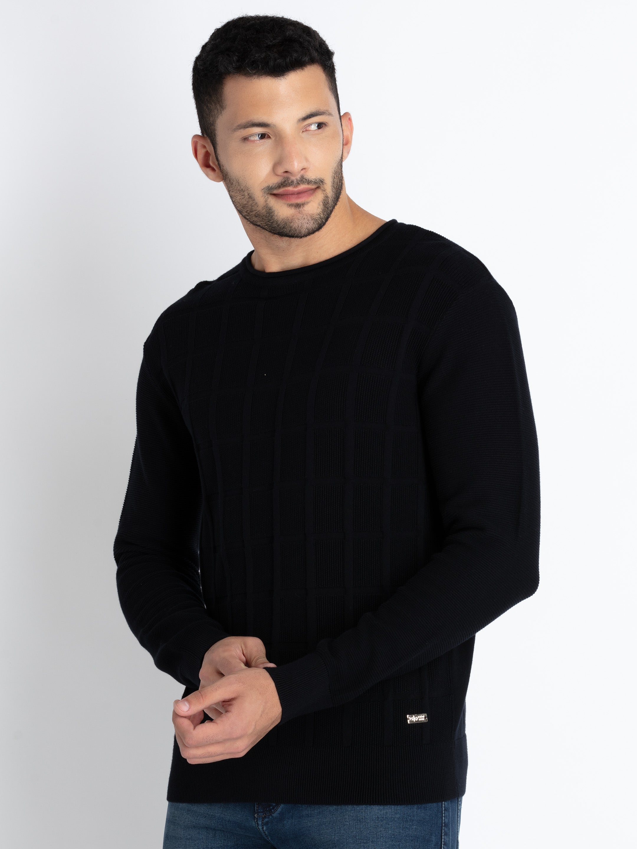Mens Solid Round Neck Sweater Secondary image