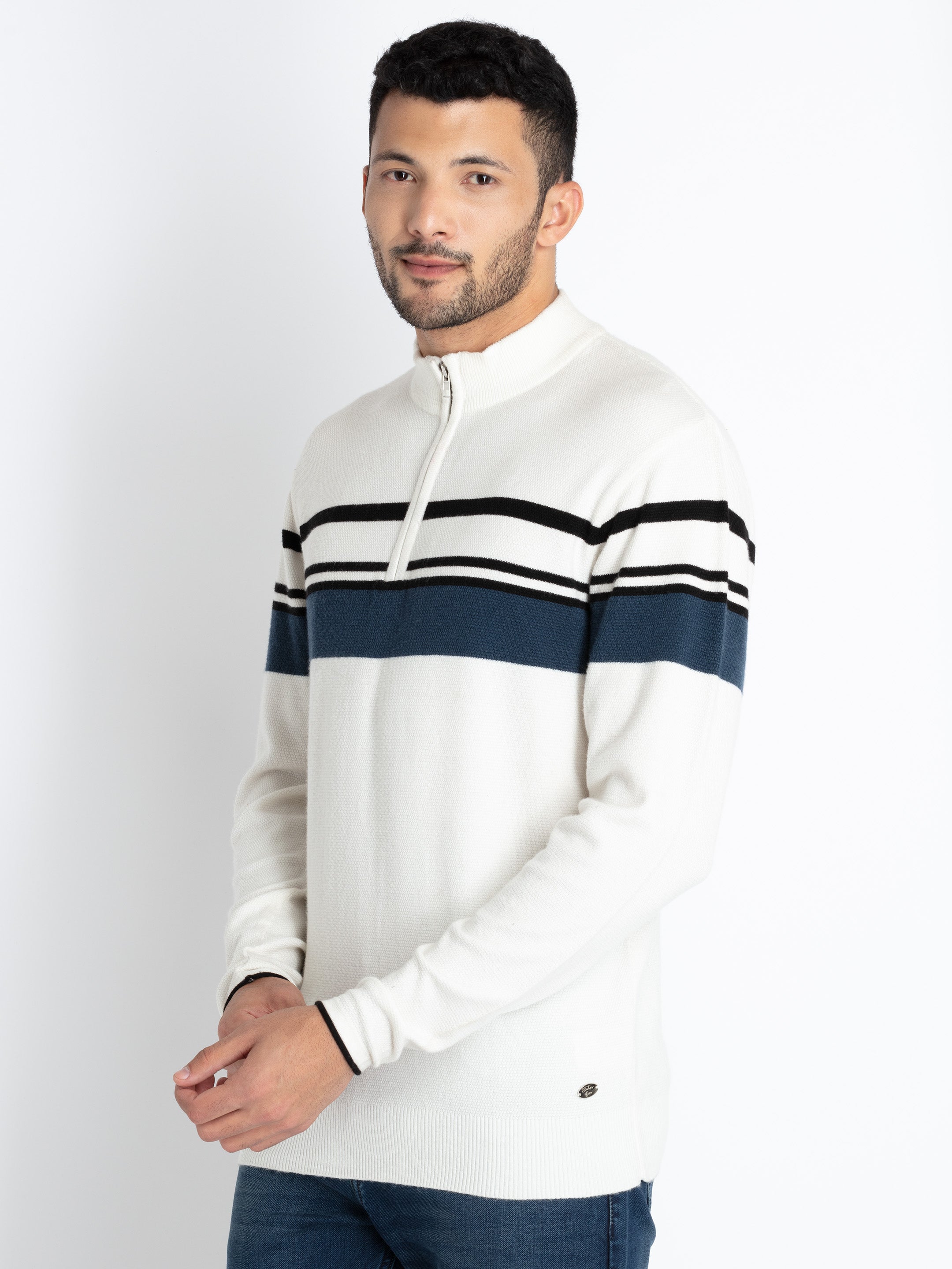 Mens Striped Round Neck Sweater Secondary image